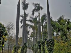 -万山楼海鲜酒家·二十三年老字号