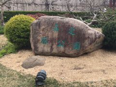 -嘉定紫藤园