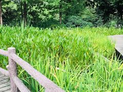 -成都市活水公园