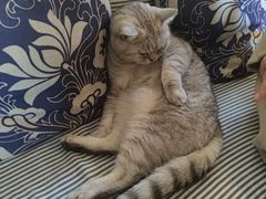 -不舍昼夜咖啡馆
