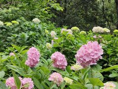 -常州古运河南大街文化旅游区-人民公园