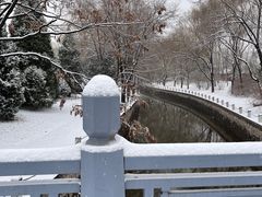 -朝阳公园