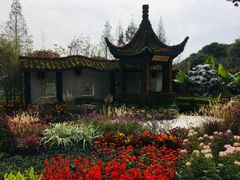 -苏州上方山国家森林公园