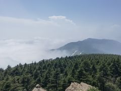 -白草畔自然风景区