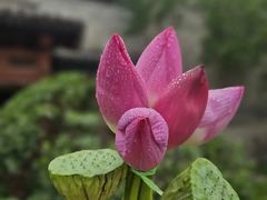 -星歌派对量贩KTV