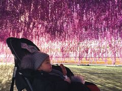 -绿野森林乐园冰雪季