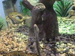 -石家庄市动物园