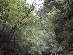 -九龙潭景区