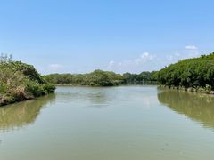 -大湾区中央湿地公园