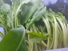 -藏味八珍特色火锅