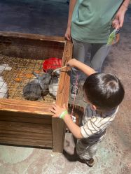 -酷嗒动物文化乐园(cutezoo西溪乐天城店)