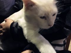 -赢吧Bliss音乐酒吧