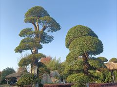 -武汉紫薇都市田园