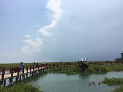 景点-北海金海湾红树林生态旅游区