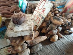-大湾区中央湿地公园-十九涌