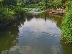 -成都南湖公园