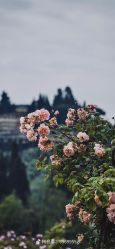 点击看大图 -壹加壹医疗美容·轻医美·美容外科