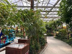 -南宫五洲植物乐园