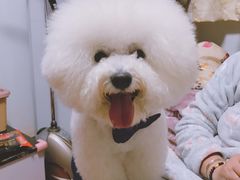 -八公叔叔宠物美容连锁(春申店)