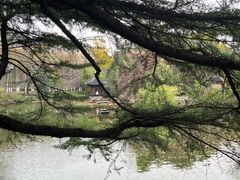 -水绘园