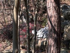 -南京市无想山景区