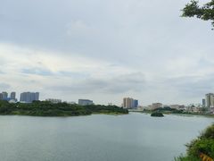 -立新湖公园
