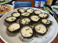 -蓝湾碧波·老字号·疍家非遗海上餐厅