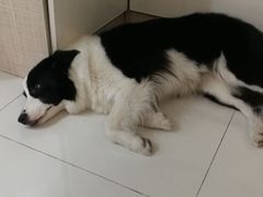 -上海潜殿潜水中心