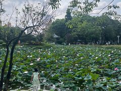 -关你鬼室大型密室逃脱(佛山创意园店)