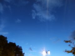 -蟹肉煲蟹肉(阊胥路店)