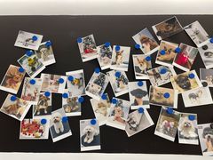 -comecome来吧宠物(奥克斯中心店)