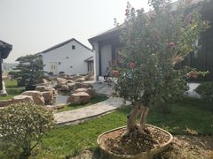 -河北省第三届（邢台园博园）园林博览会