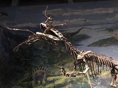 -自贡恐龙博物馆