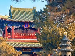 -天津大悲禅院
