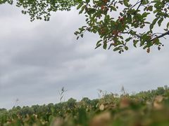 -燕郊植物园
