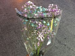 -蜜雪冰城(浙江大学店)