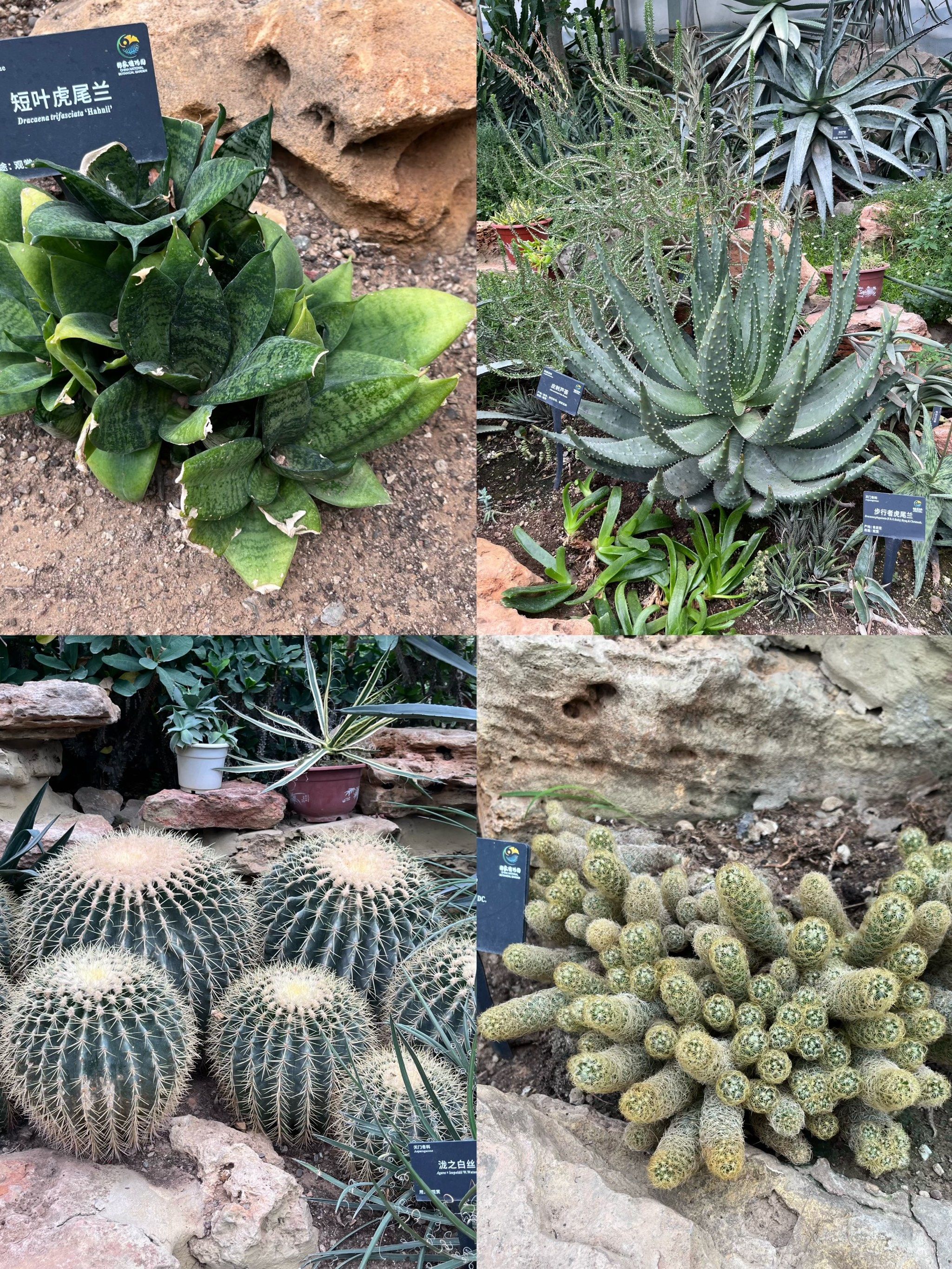 幽静的国家植物园南园(中国科学院植物研究所)