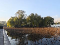-济南大明湖景区