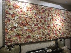 -孔雀手美甲美睫护理