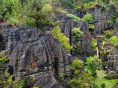 -梭布垭石林景区