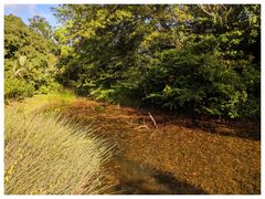 -麦里芝蓄水池