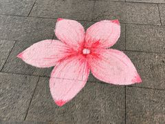 -百年老字号·观振兴蟹黄面·三虾面·苏式面(观前街富仁坊巷店)