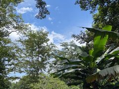 -中国科学院西双版纳热带植物园