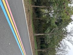 -同里国家湿地公园