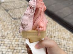 -柠檬车露(卖草地店)