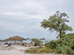 -三亚蜈支洲岛旅游区
