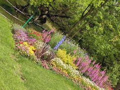 -上海共青森林公园