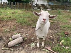 -美家乐农庄·露营·团建(大治路店)