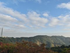 -天鹿湖森林公园