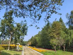 -同里国家湿地公园